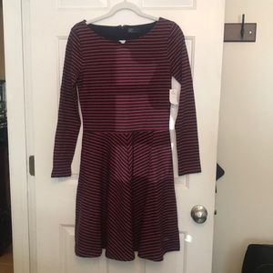 Adorable GAP knit dress new with tags in perfect condition
